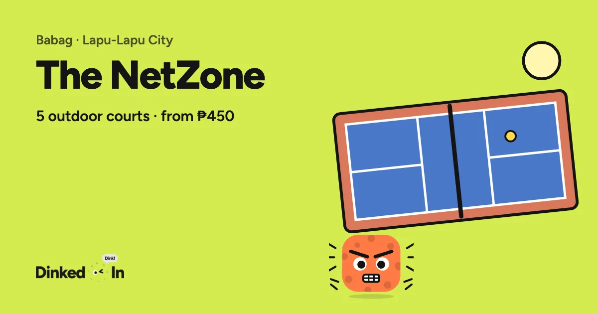 Illustration of The NetZone: Outdoor, 5 courts